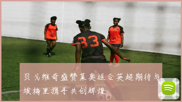 贝戈维奇盛赞莱奥适合英超期待与埃梅里携手共创辉煌